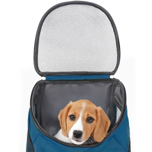 Ceruzo Hondenrugzak - Katten En Honden Tot Max 10 Kg - Petrol