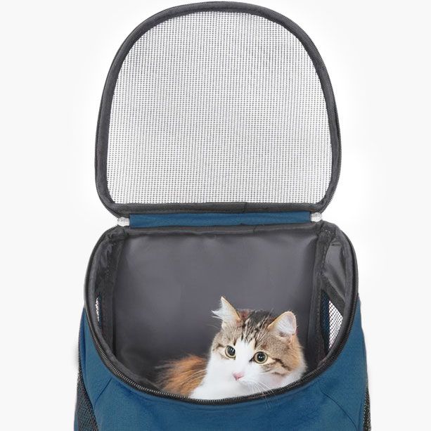 Ceruzo Hondenrugzak - Katten En Honden Tot Max 10 Kg - Petrol